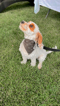 Load image into Gallery viewer, Chevron Bandana