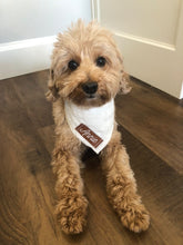 Load image into Gallery viewer, Lacey Bandana