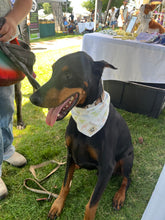 Load image into Gallery viewer, Winnie Bandana