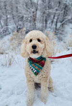 Load image into Gallery viewer, Southwest Bandana
