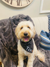 Load image into Gallery viewer, Chevron Bandana