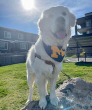 Load image into Gallery viewer, Football Team Letterman Bandana