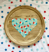 Load image into Gallery viewer, Pupsicles Bandana-Over Collar