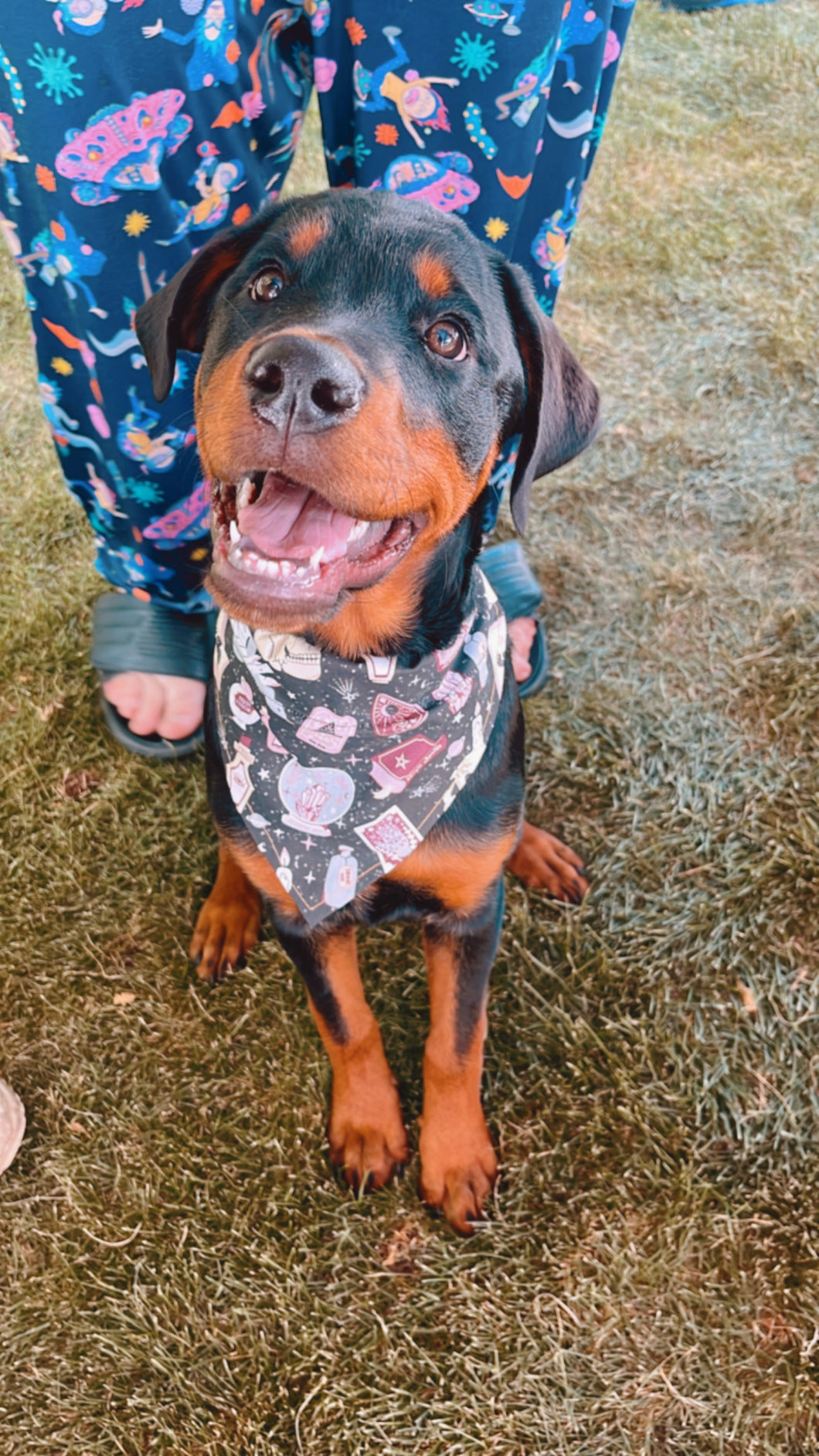 Dark Magic Bandana