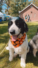 Load image into Gallery viewer, Jack O Lanterns Bandana (GLOW IN THE DARK)
