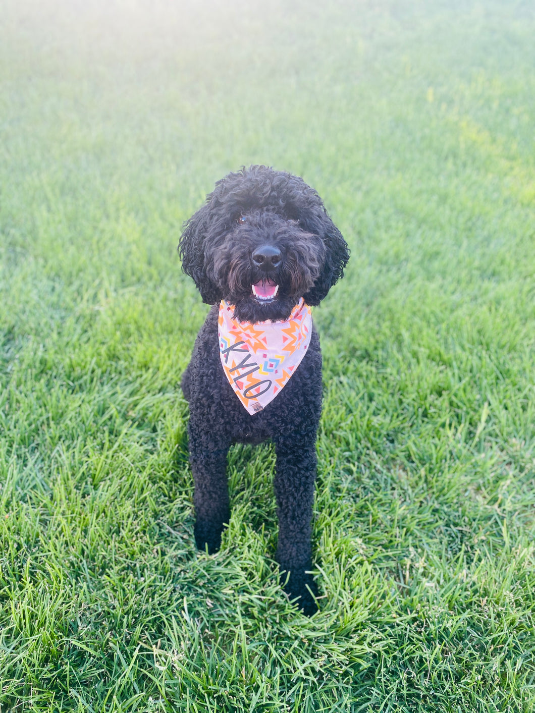 Aztec Bandana