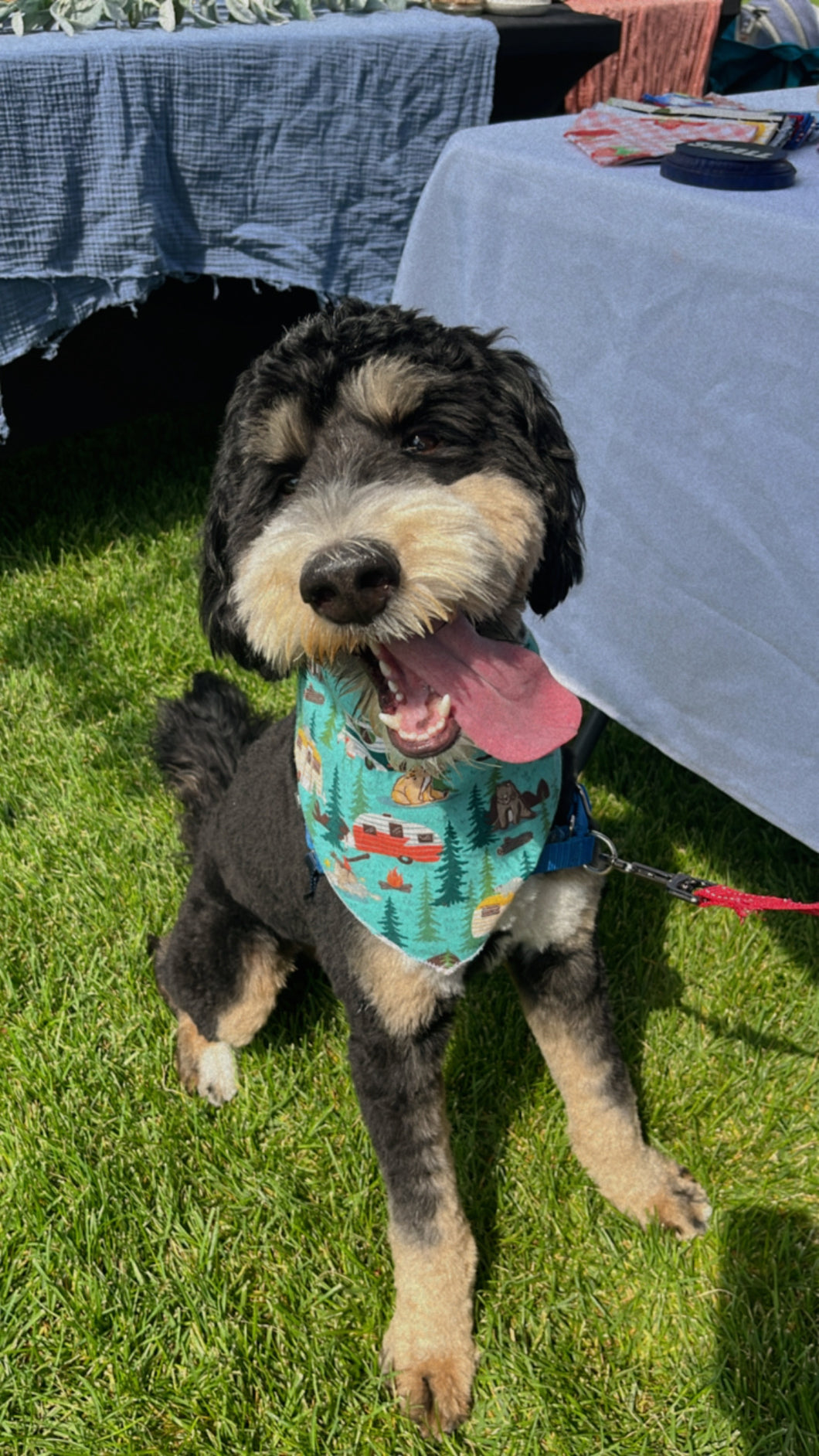 Happy Camper Bandana