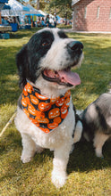 Load image into Gallery viewer, Jack O Lanterns Bandana (GLOW IN THE DARK)
