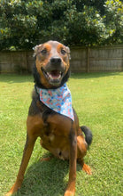 Load image into Gallery viewer, All American Bandana
