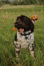 Load image into Gallery viewer, Black Gingham Bandana
