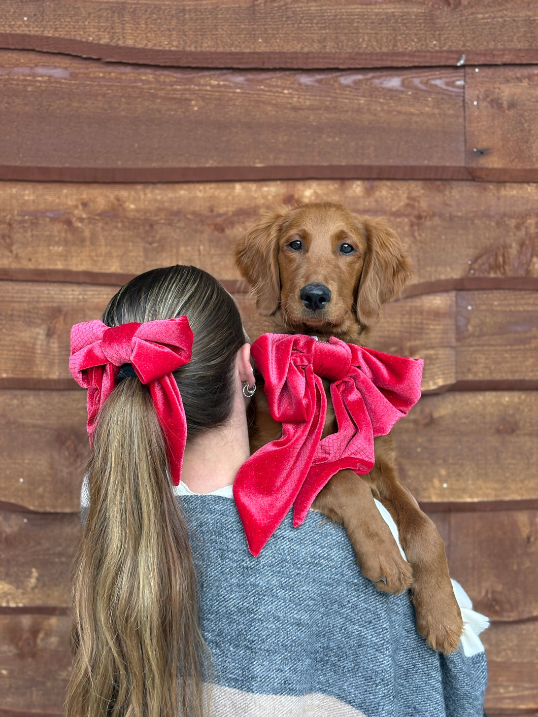 Rudolph Hair Bow