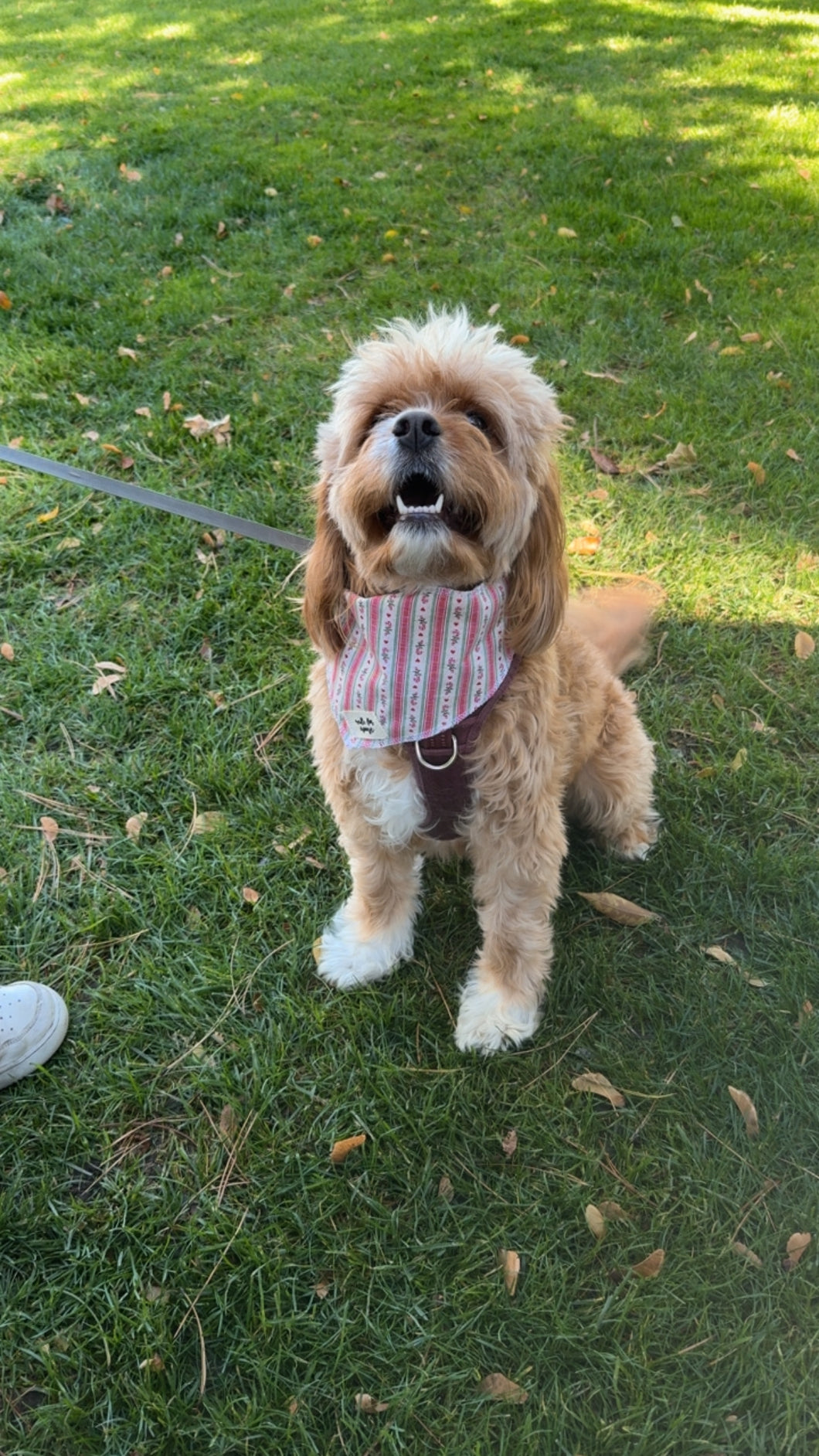 Vintage Candy Cane Bandana