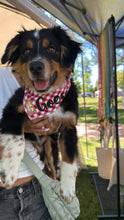 Load image into Gallery viewer, Picnic Bandana
