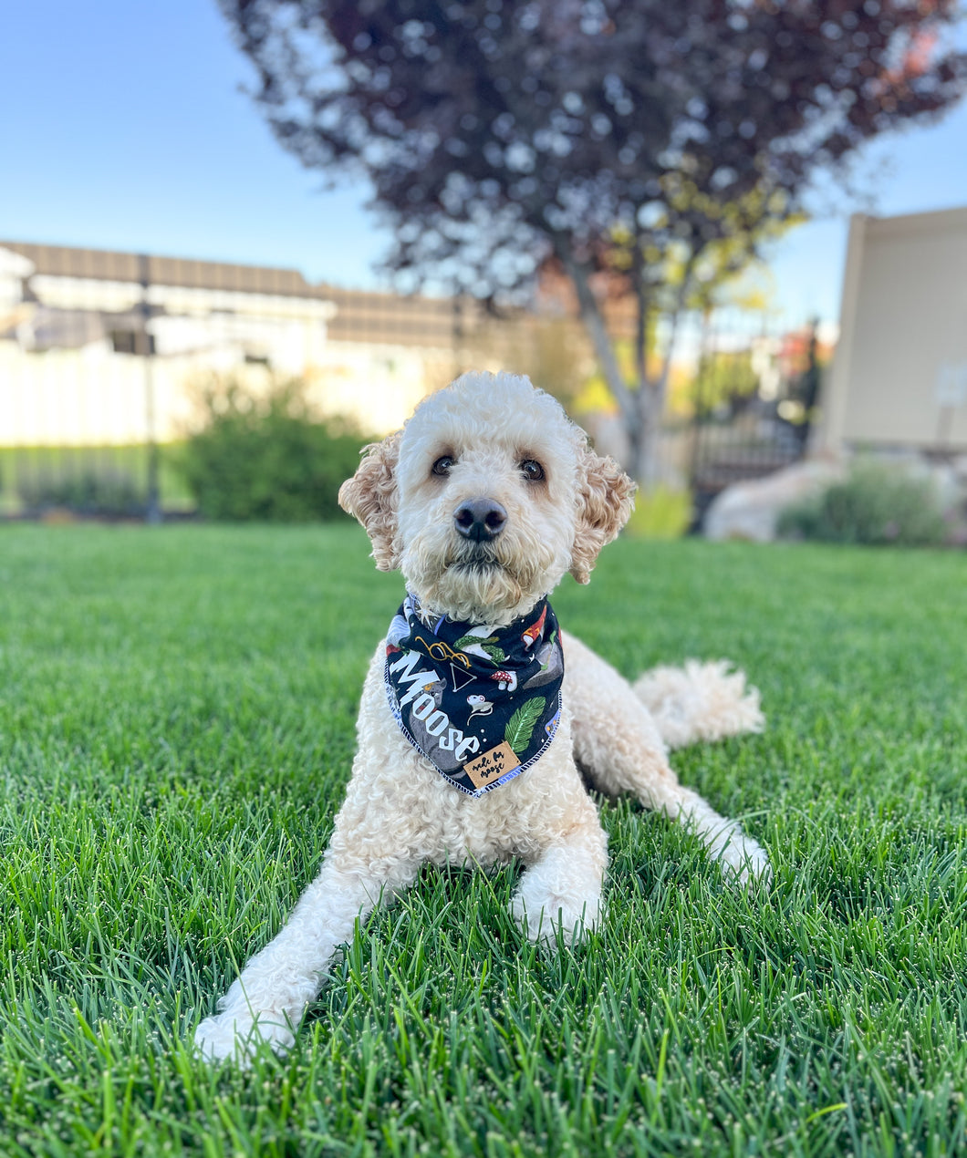 Wizarding World Bandana