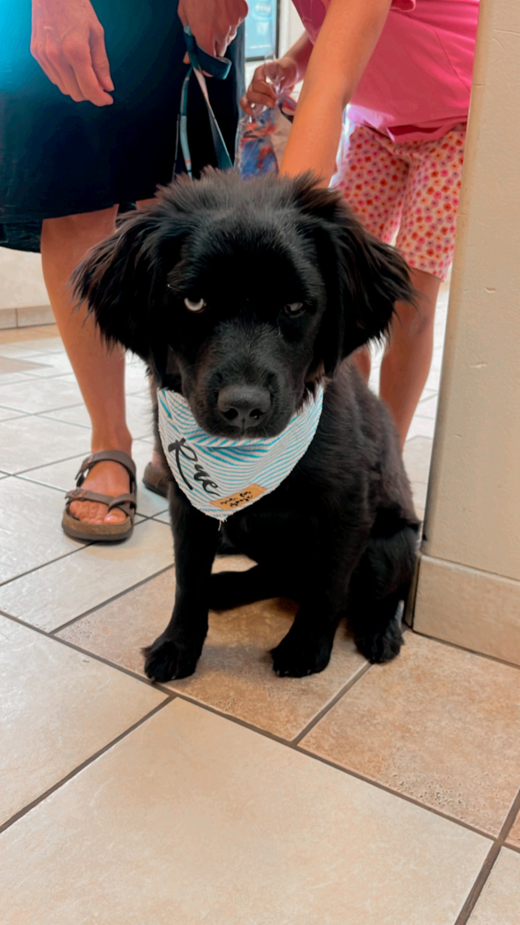 Striped Bandana