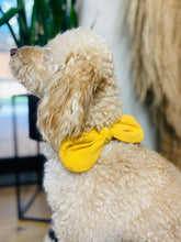 Load image into Gallery viewer, Yellow Dog Scarf
