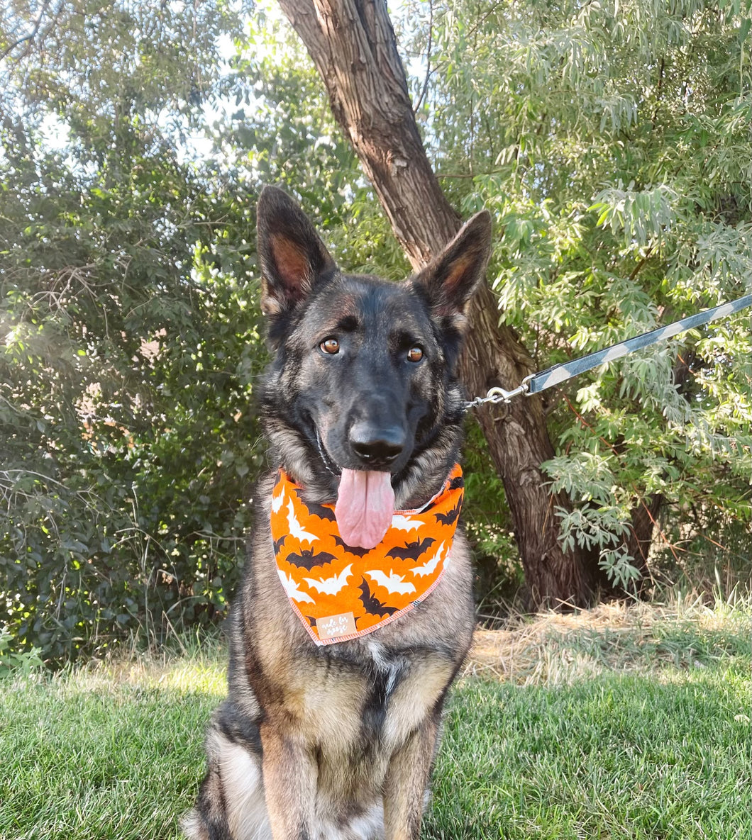 Bats Bandana (GLOW IN THE DARK)