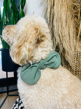 Load image into Gallery viewer, Green Dog Scarf
