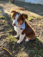Load image into Gallery viewer, Clouds Bandana

