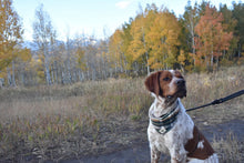 Load image into Gallery viewer, Nutmeg Bandana
