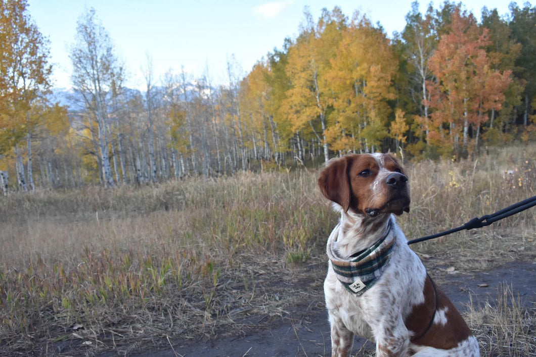 Nutmeg Bandana