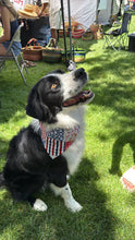 Load image into Gallery viewer, Patriotic Patchwork Bandana
