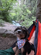 Load image into Gallery viewer, All American Bandana
