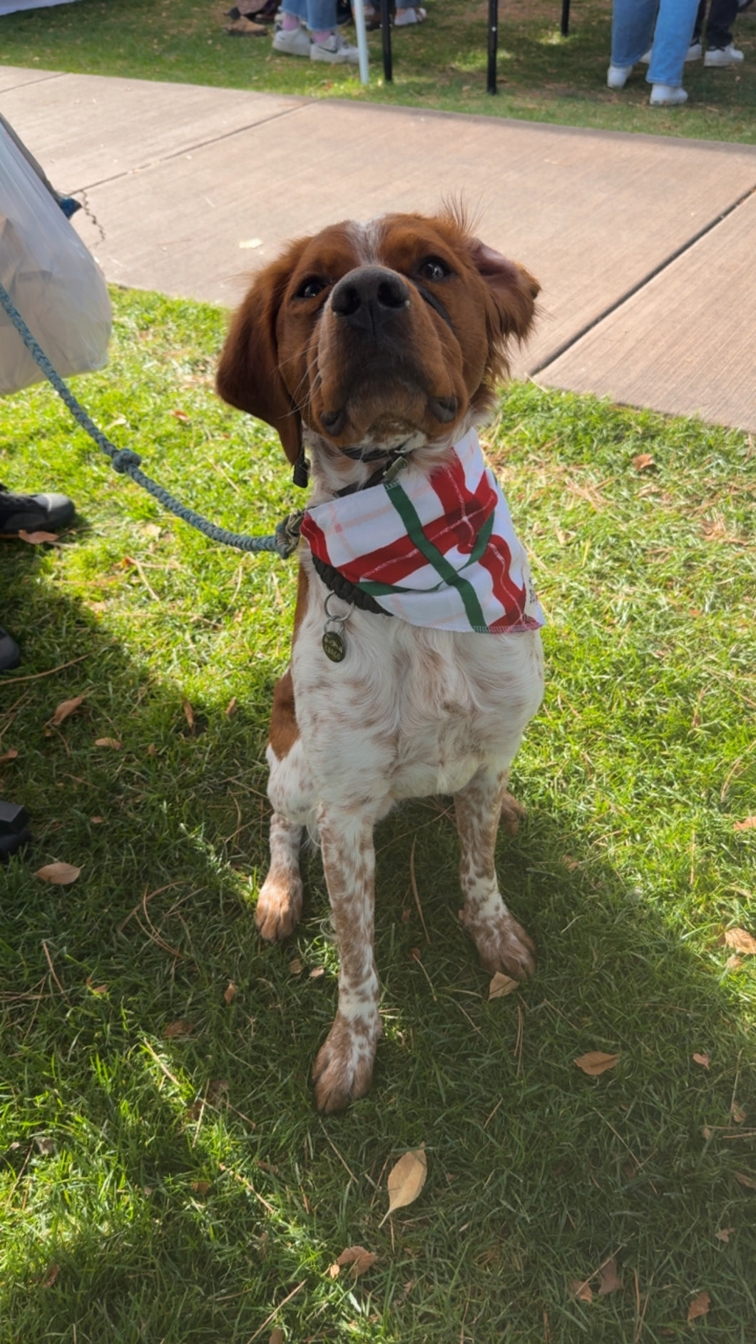 Happy Holidays Bandana