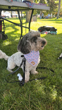 Load image into Gallery viewer, Liberty Bandana
