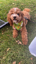 Load image into Gallery viewer, Feelin Grinchy Bandana
