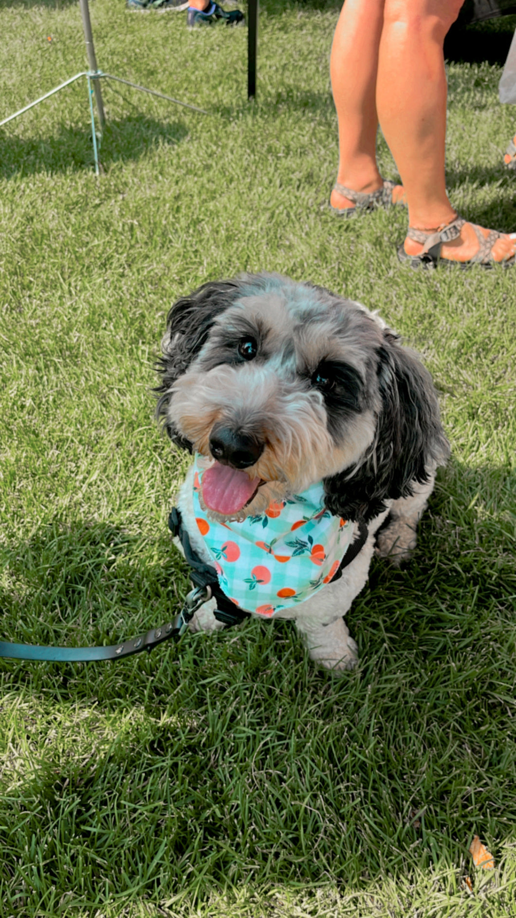 Just Peachy Bandana