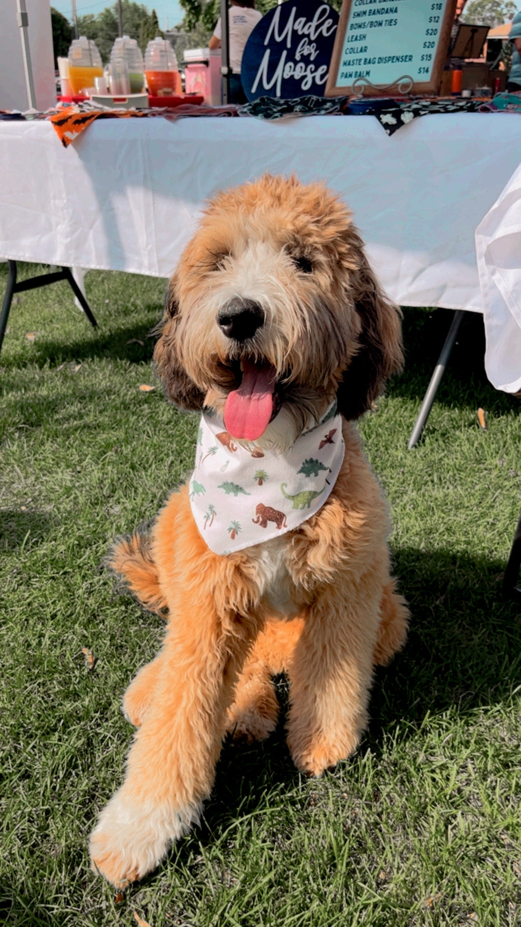 Dino Bandana