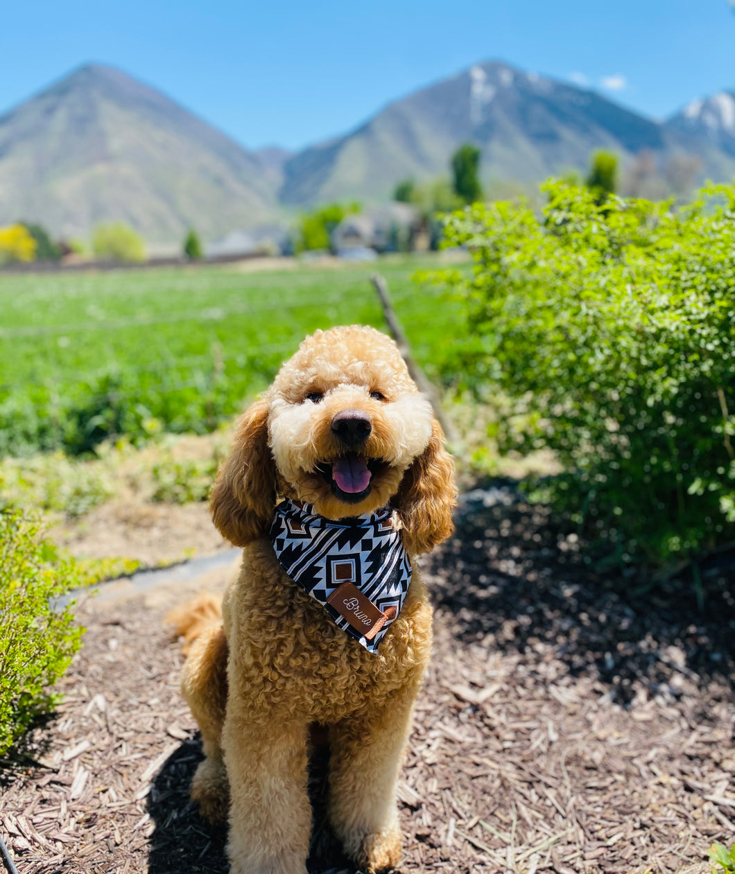 Bruno Bandana