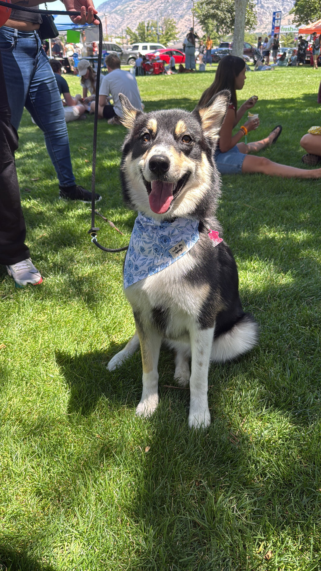 Mamma Mia Bandana