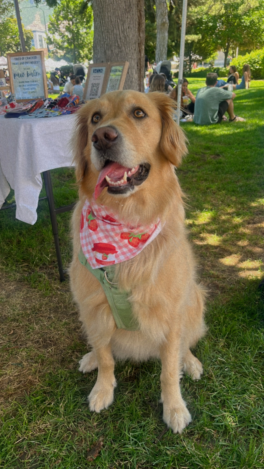 Strawberry Jam Bandana