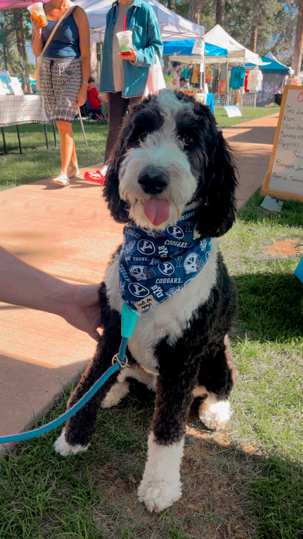 BYU Bandana