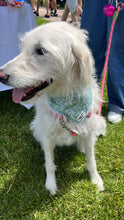 Load image into Gallery viewer, Daisy Bandana
