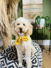 Load image into Gallery viewer, Yellow Dog Scarf
