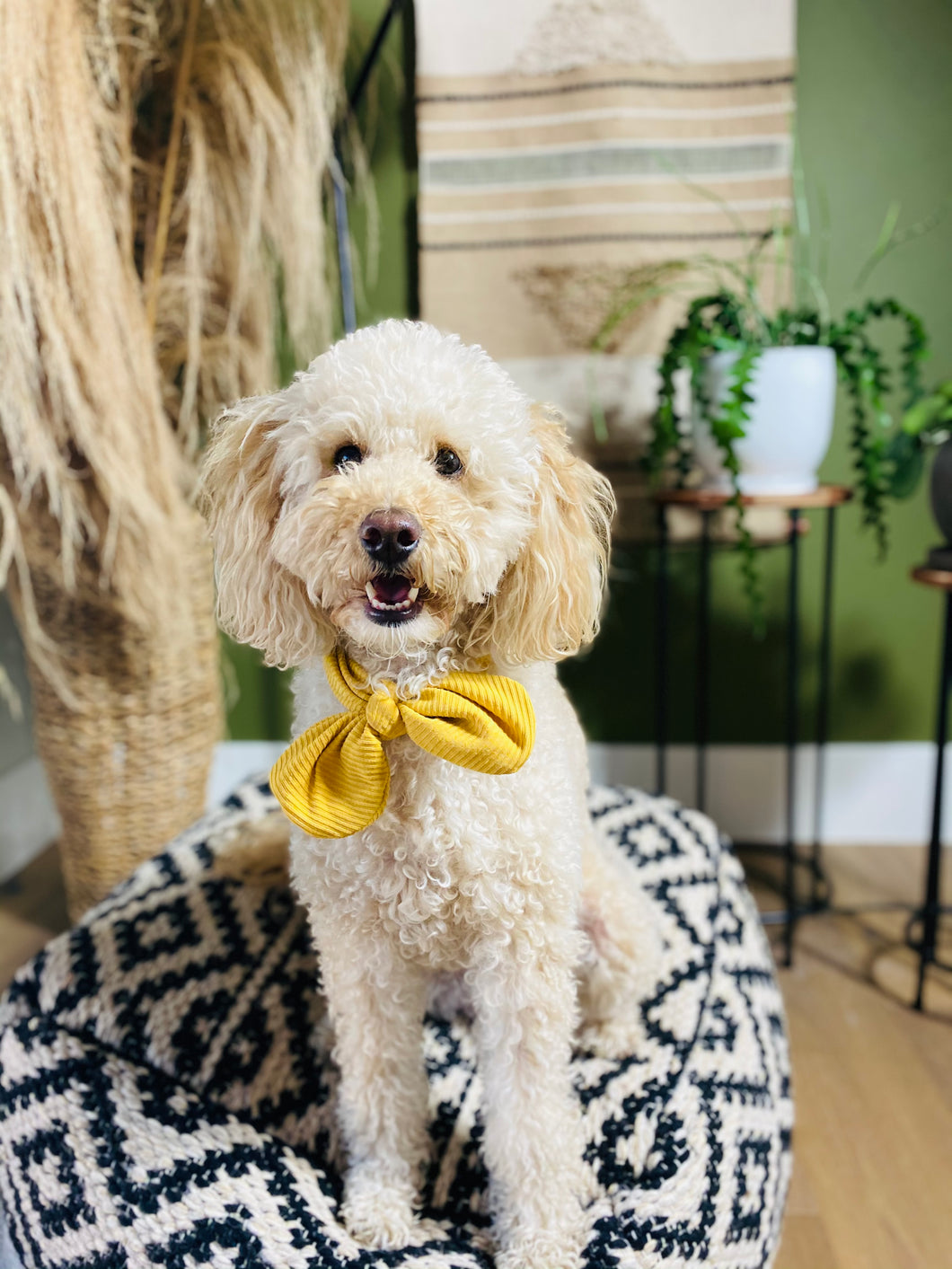 Yellow Dog Scarf