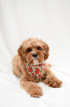 Load image into Gallery viewer, Poinsettia Bandana
