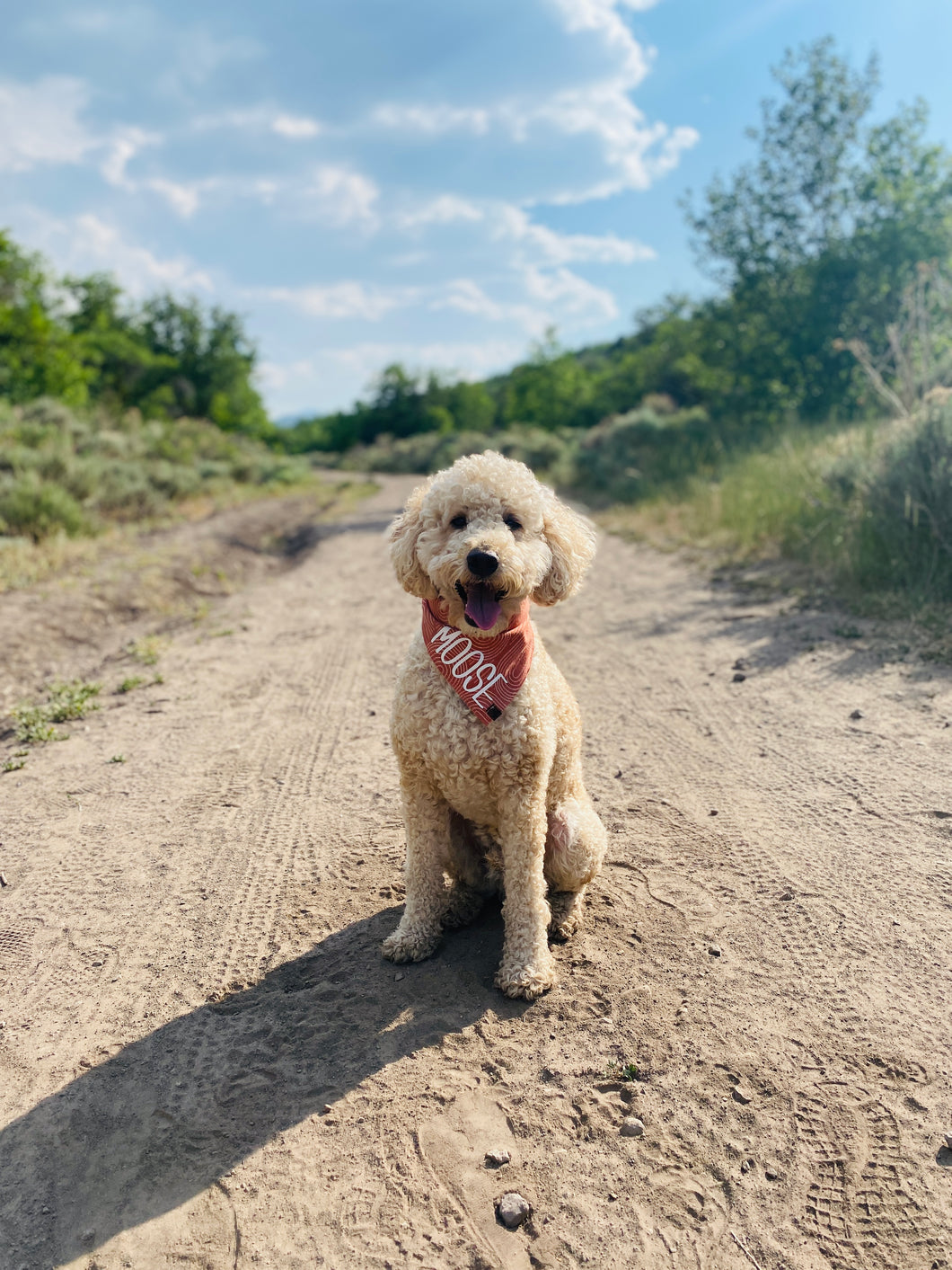 Arches Bandana