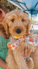 Load image into Gallery viewer, Delilah Dog Scarf
