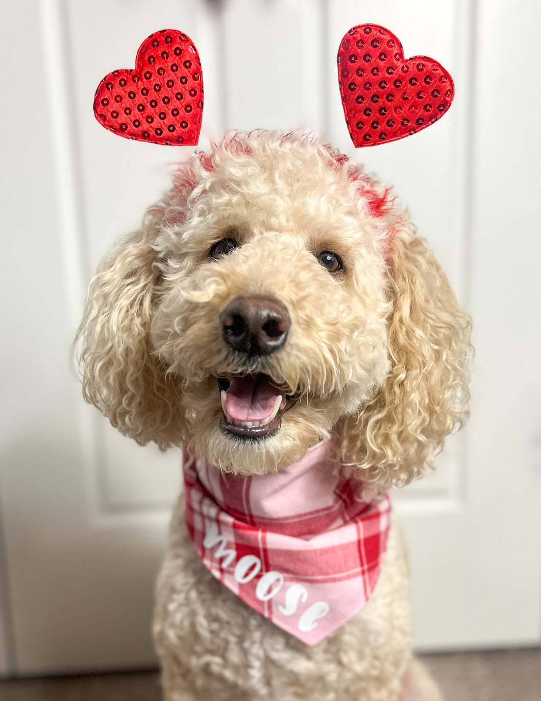 Pink Plaid Bandana