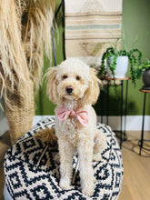 Load image into Gallery viewer, Pink Dog Scarf
