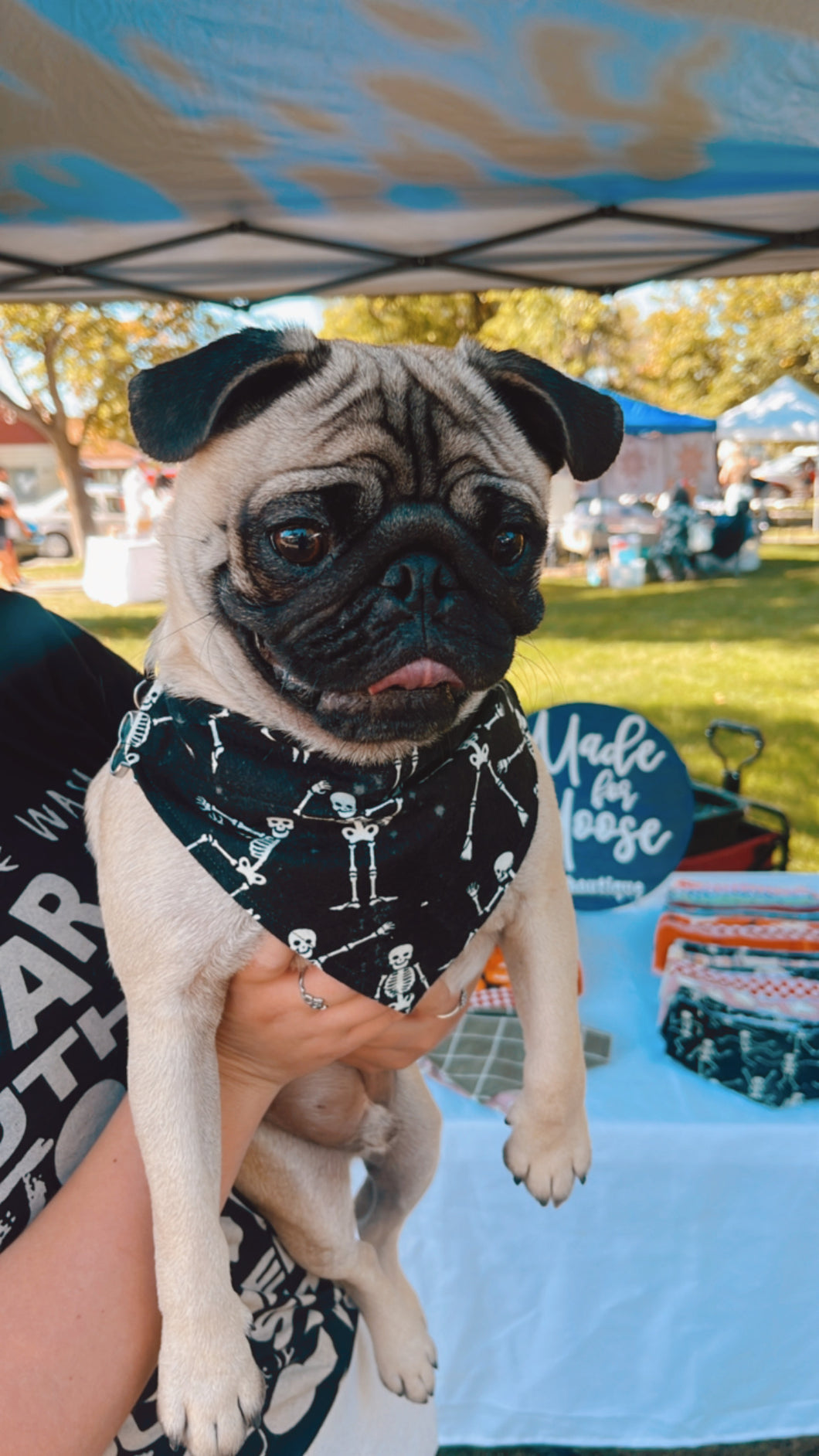 Skeletons Bandana (GLOW IN THE DARK)