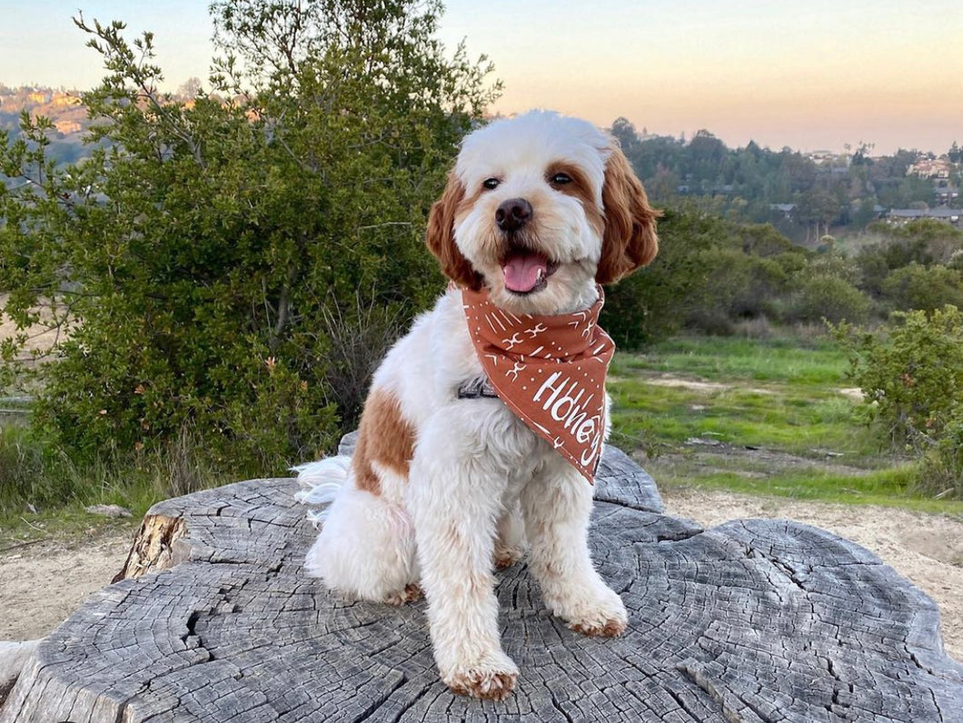 Free Spirit Bandana