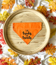 Load image into Gallery viewer, &quot;Tricks for Treats&quot; Bandana-Over Collar
