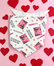 Load image into Gallery viewer, Mean Girls Bandana-Snap On
