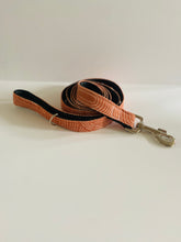Load image into Gallery viewer, “Arches” Dog Leash
